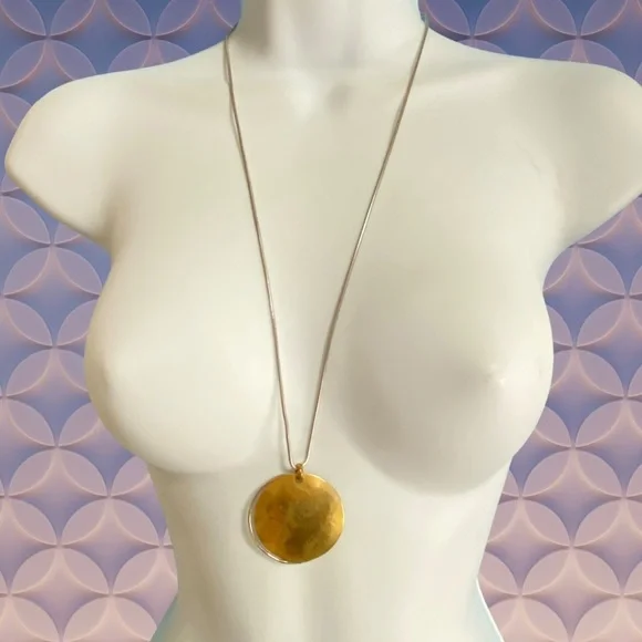 BAER SF Marjorie Baer Mixed Metals Long Brass & Silver Necklace - Picture 11 of 12